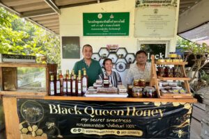 LINE_ALBUM_151268_251216_3