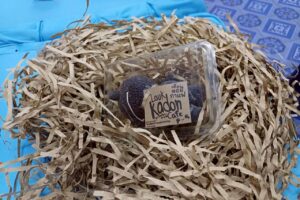 LINE_ALBUM_รร.บ้านหนองกะโดน_260206_2