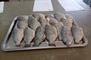 LINE_ALBUM_รร.พระปฐมวิทยาลัย 2_260204_9