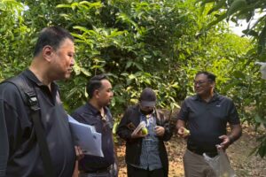 LINE_ALBUM_สัญจร_260123_36